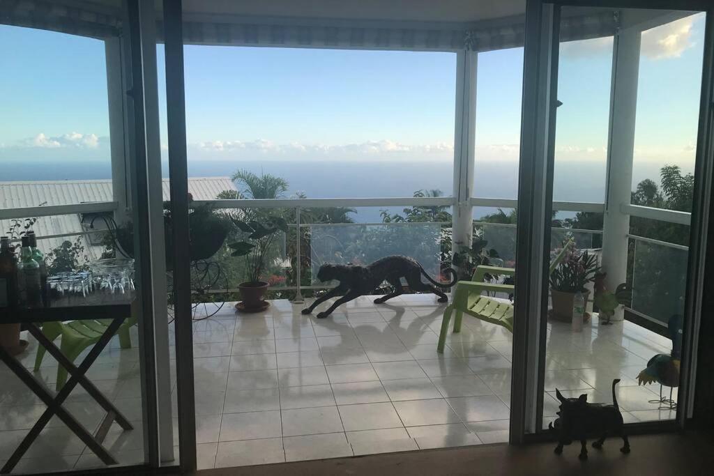 St Leu -Villa D'Artiste, Superbe Vue Mer, Piscine Chauffee Saint-Leu Kültér fotó